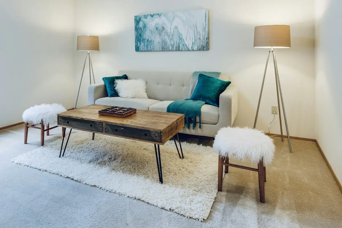 Carpet Steam Cleaning