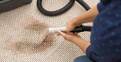 Professional Carpet Cleaning